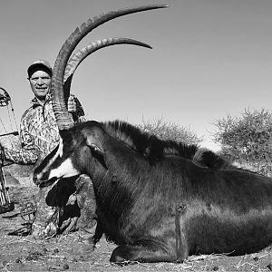 Bow Hunt Sable Antelope in South Africa