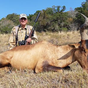 Red Hartebeest Hunt South Africa