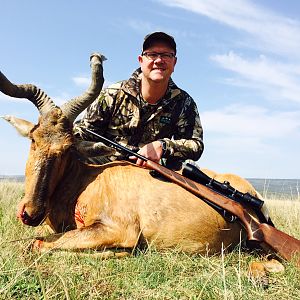 South Africa Unusual Red Hartebeest Trophy