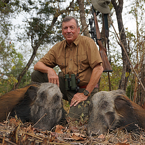 Hunting Bushpig in South Africa