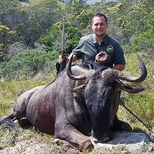 Hunt Blue Wildebeest in South Africa