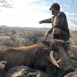 Hunting Warthog in South Africa