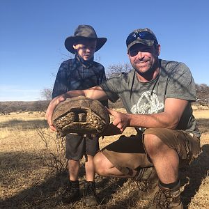 Large Tortoise South Africa