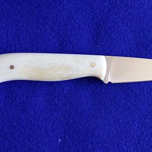 EDC Hunting Knife with Giraffe bone