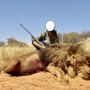 Hunt Lion in South Africa