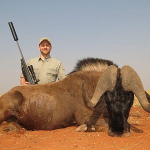 Black Wildebeest Hunting South Africa