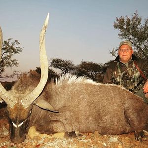 Nyala Hunting South Africa