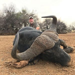 South Africa Hunt Cape Buffalo