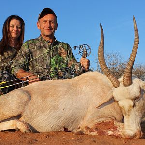 South Africa Bow Hunting White Blesbok