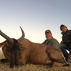 Hunt Tsessebe in South Africa