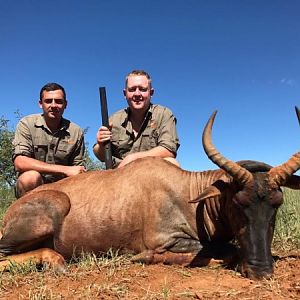 South Africa Hunting Tsessebe