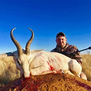Hunting White Springbok in South Africa