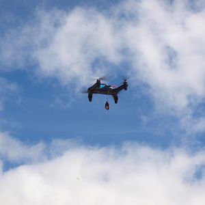 Drone-fishing for Bronze Whalers at Gansbaai, South Africa