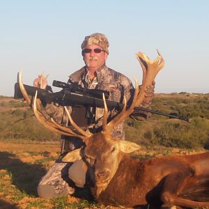 Red Stag Hunting Texas USA