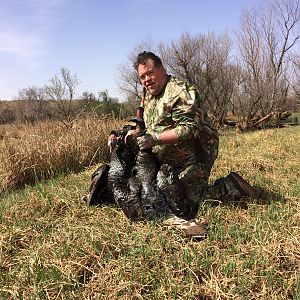 Hunt Turkey in Texas USA