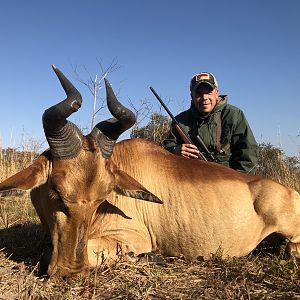 Lichtenstein's Hartebeest Hunt Zambia