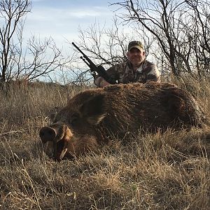 Texas USA Hunting Hog