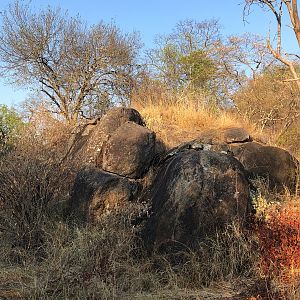 A picture of the “Ambush Rock”.