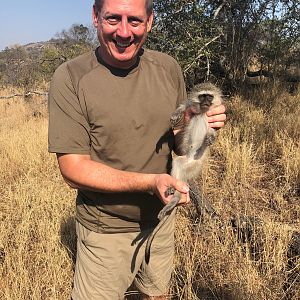 Vervet Monkey Baby Zimbabwe