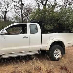 Another load of green branches