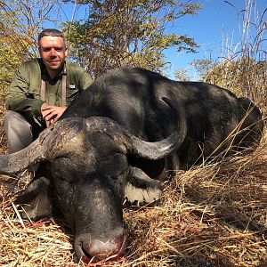 Cape Buffalo Hunt Zambia