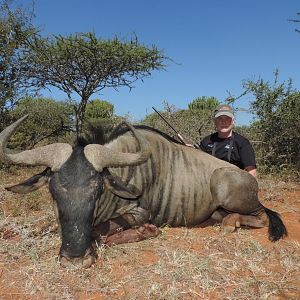 Hunting wildebeest South Africa