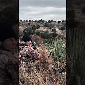 Aoudad Hunting in Texas USA