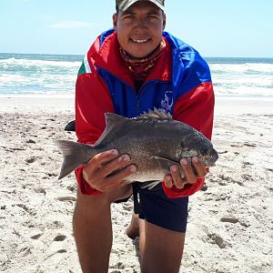 Fishing Galjoen in Namibia