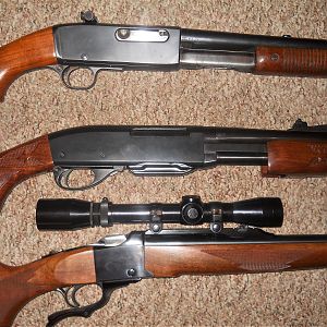 Rifle Collection