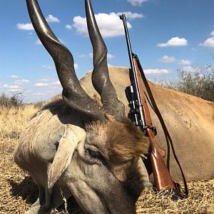 South Africa Hunt Eland