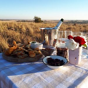 Sunset Bushveld Picnic South Africa