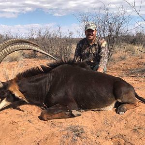 Sable Hunting Namibia