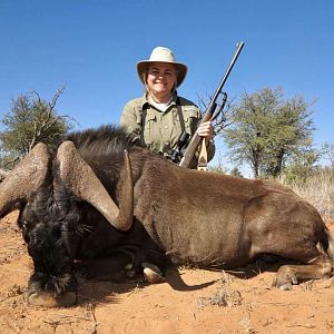 Black Wildebeest Hunting Namibia