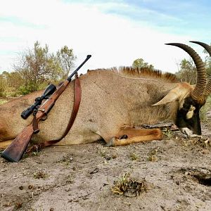 Namibia Hunting Roan