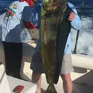 Fishing Dorado in Panama