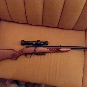 Marlin 512 Rifle