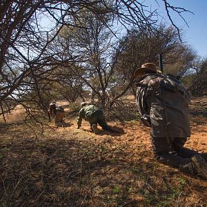 Hunting & Stalking Game in Namibia