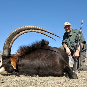 Sable Antelope Hunt Namibia