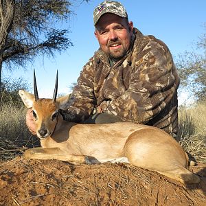 Steenbok Hunting Namibia