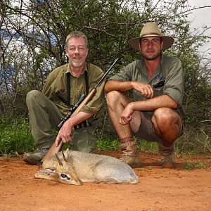 Namibia Hunt Damara Dik Dik