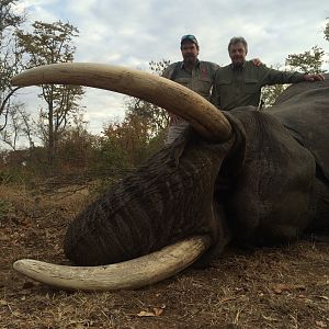 Elephant Hunting Zimbabwe