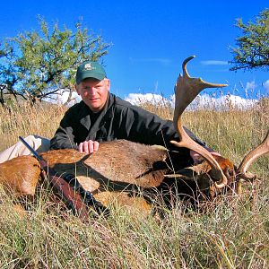 South Africa Hunt Fallow Deer