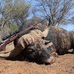 Cape Buffalo Hunting South Africa | AfricaHunting.com