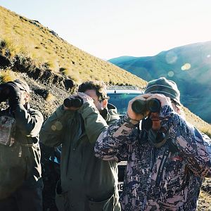 Glassing Game New Zealand