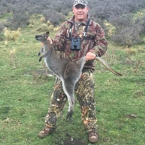 Hunting Wallaby in New Zealand