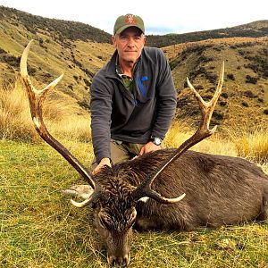 New Zealand Hunting Sika Deer
