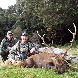 New Zealand Hunt Sika Deer
