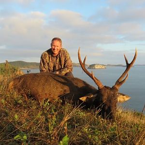 Hunting Sambar Deer in New Zealand