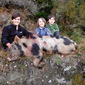 Boar Hunt New Zealand