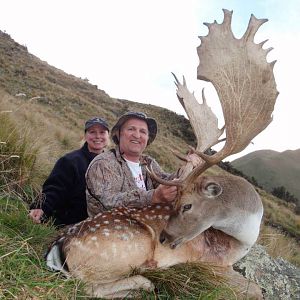 New Zealand Hunting Fallow Deer